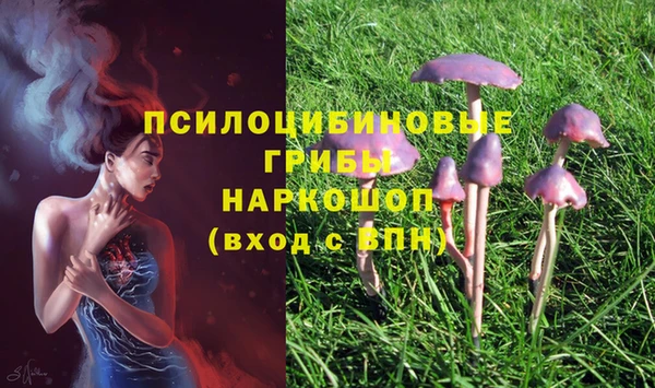 гидропоника Осташков