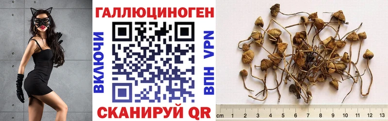 Псилоцибиновые грибы мухоморы  купить наркотики сайты  Санкт-Петербург 
