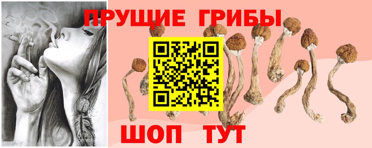 Санкт-Петербург  Псилоцибиновые грибы мухоморы  Вход с VPN 